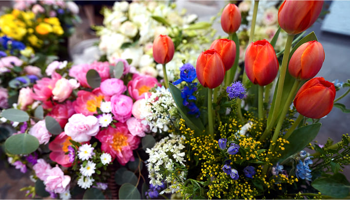 Kalite, Tazelik ve İşçilik